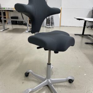 Håg Capisco 8106, grå