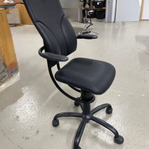 Spinalis Apollo - ryggvennlig.