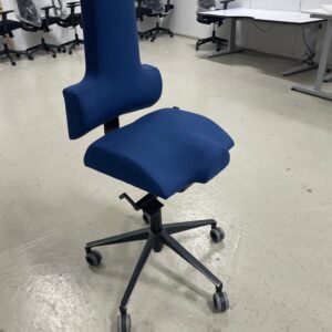 Therapia ergonomi