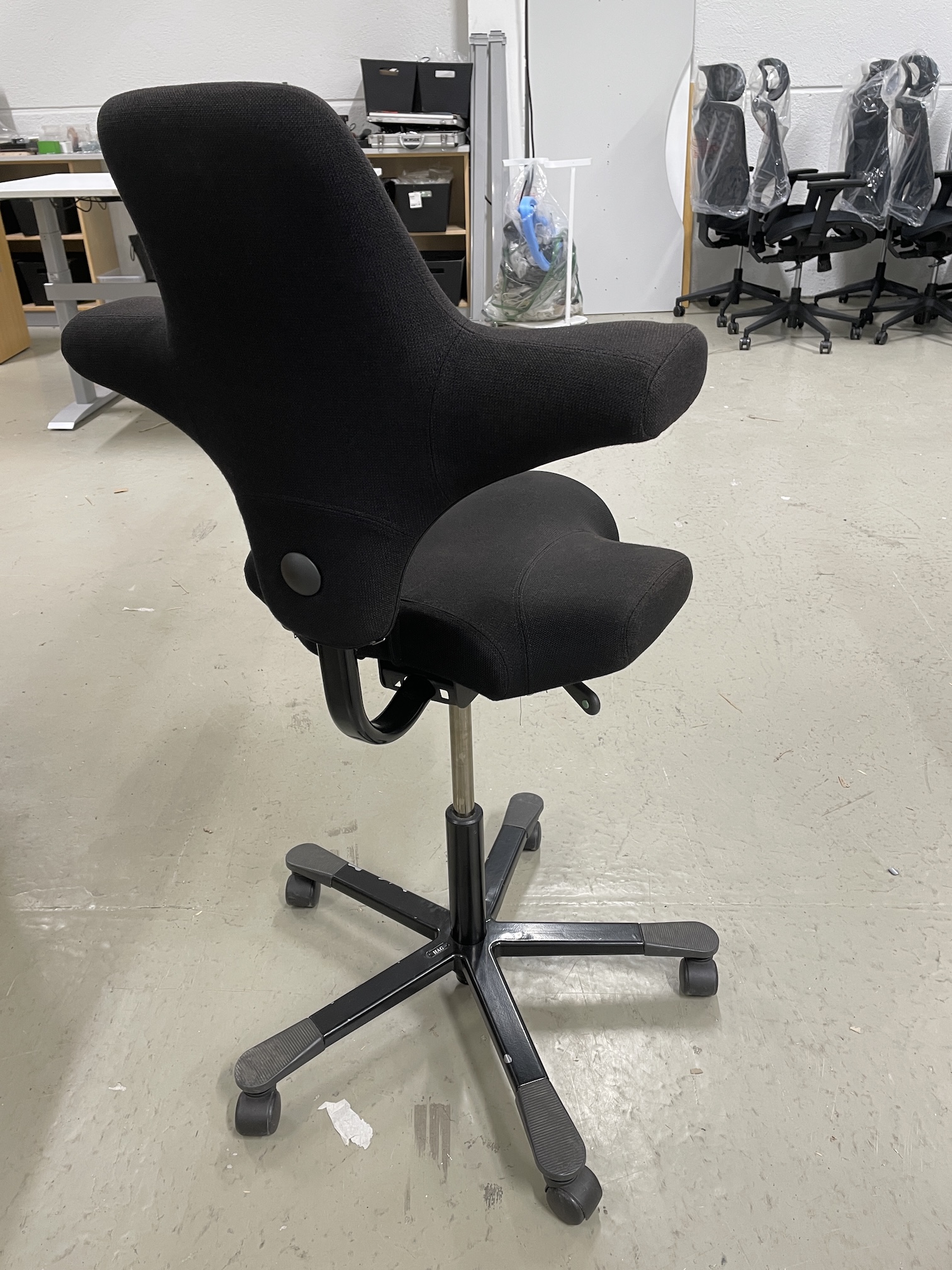 Håg Capisco - Image 2